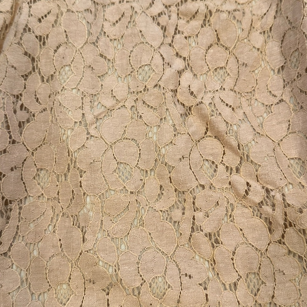 LuLaRoe Medium Nude/Pink Lace Lucy Skirt - Picture 2 of 3